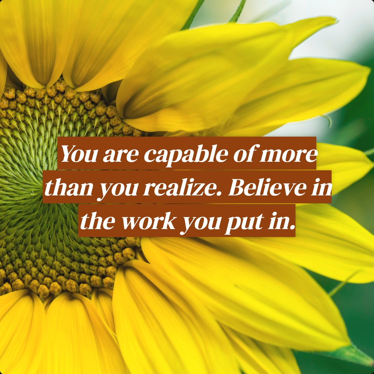 You are capable of more than you realize. Believe in the work you put in.