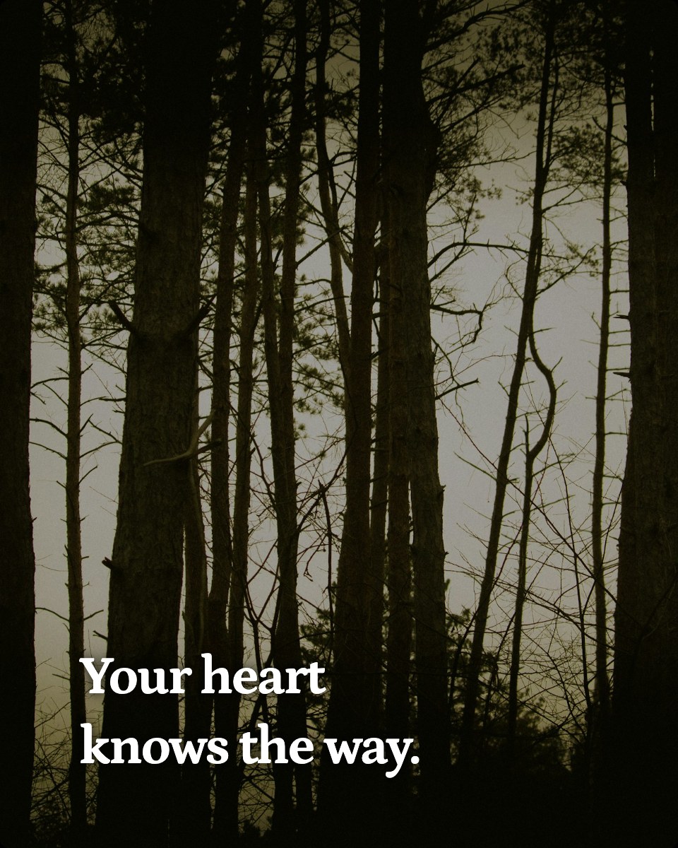 Your heart knows the way.