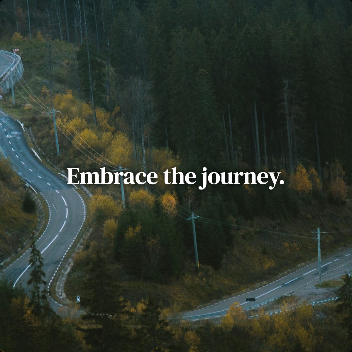 Embrace the journey.