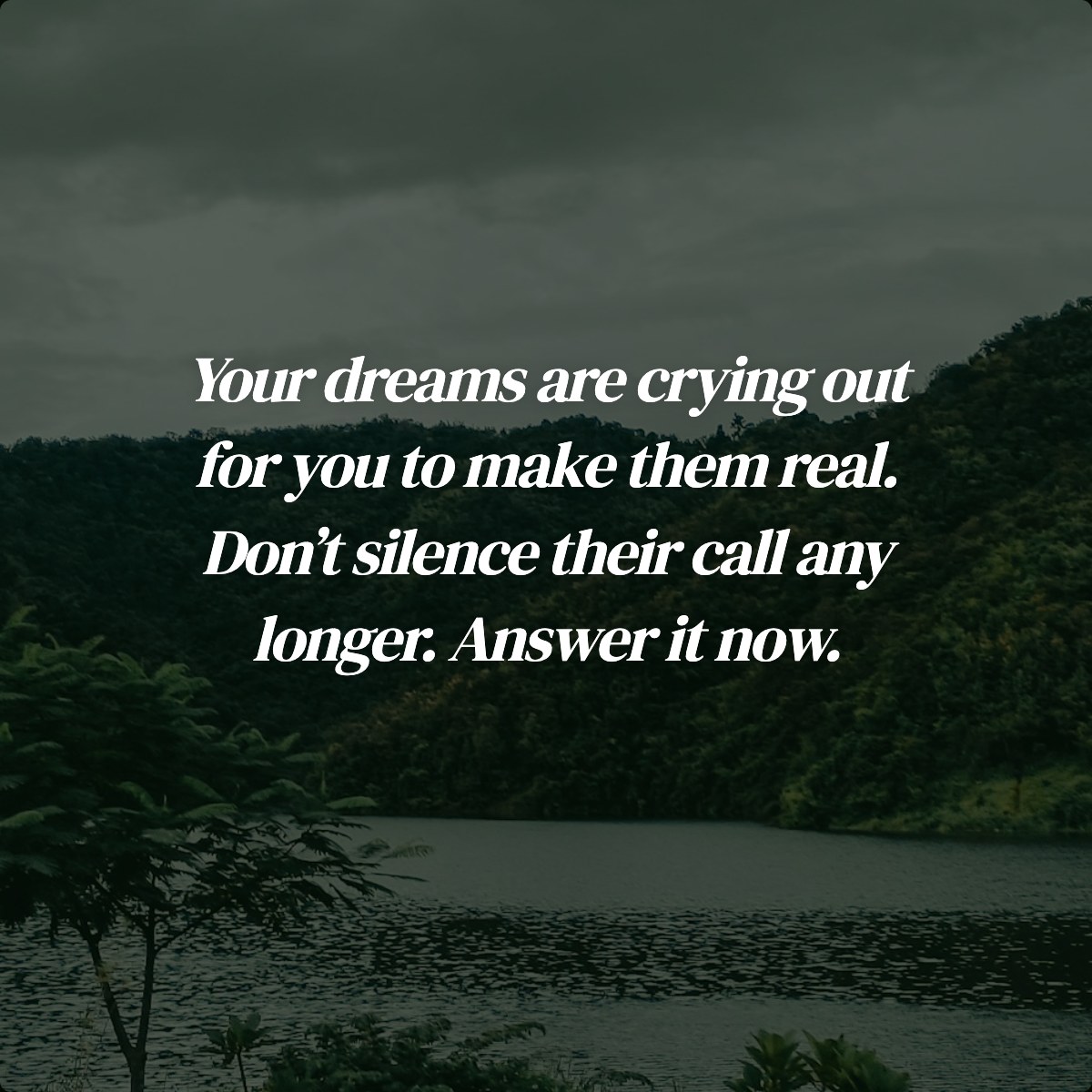 Your dreams are crying out for you to make them real. Don’t silence their call any longer. Answer it now.