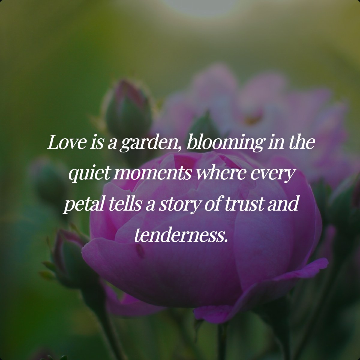 Love is a garden, blooming in the quiet moments where every petal tells a story of trust and tenderness.