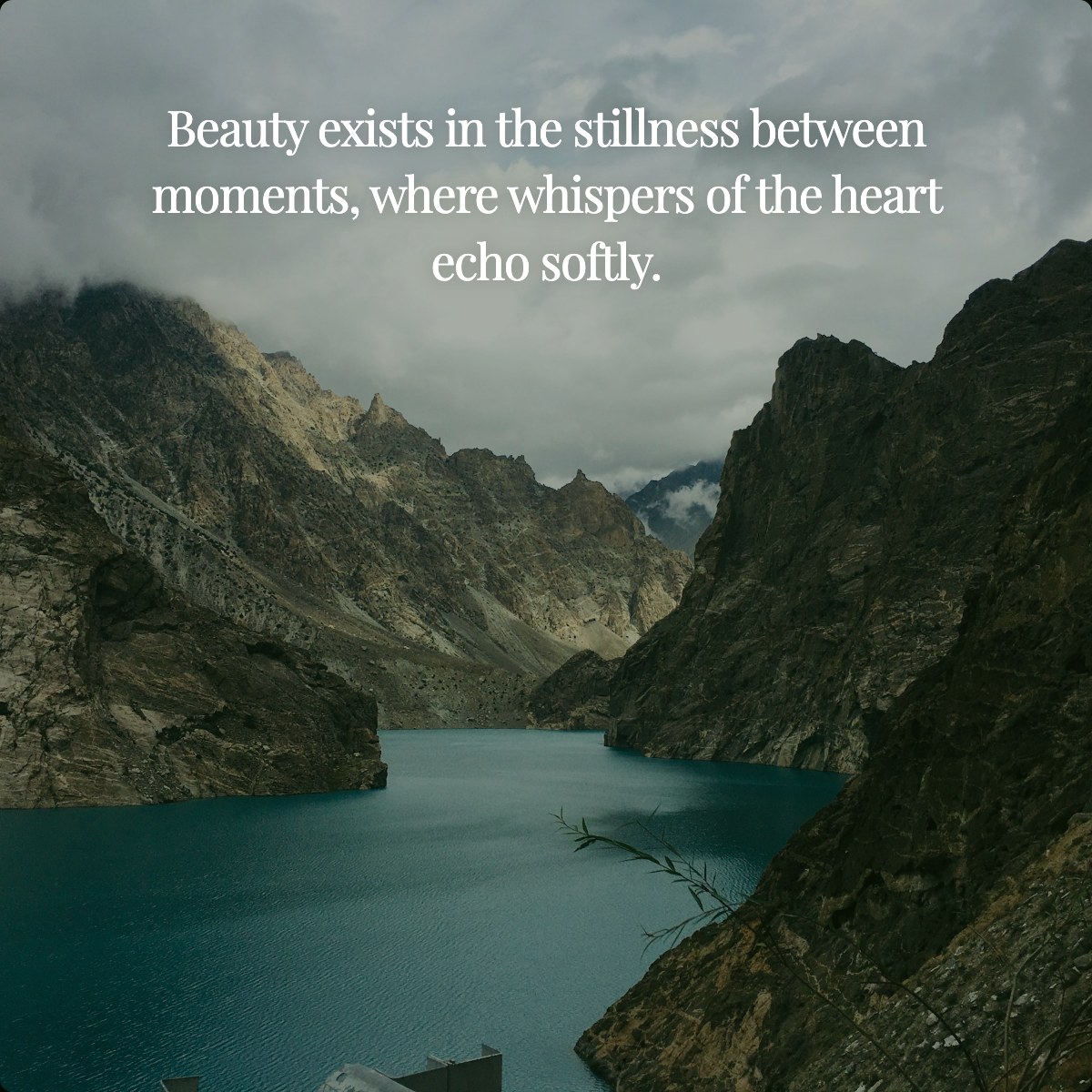 Beauty exists in the stillness between moments, where whispers of the heart echo softly.