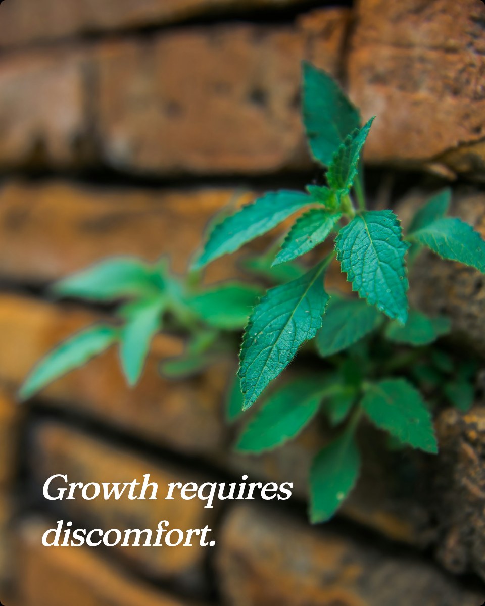 Growth requires discomfort.