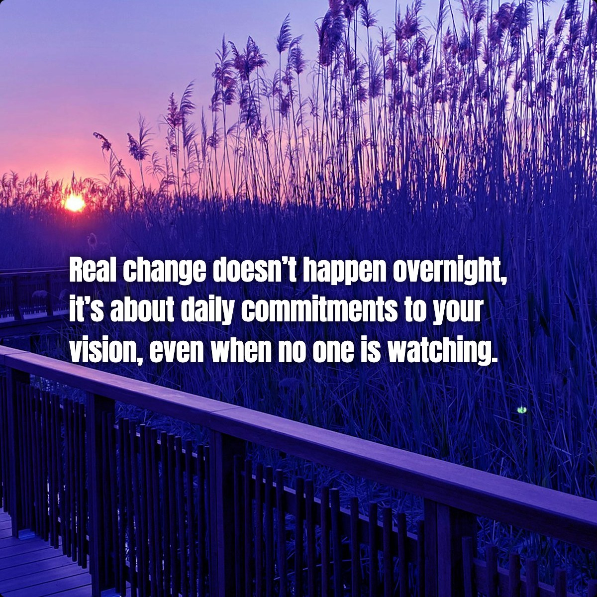 Real change doesn’t happen overnight, it’s about daily commitments to your vision, even when no one is watching.