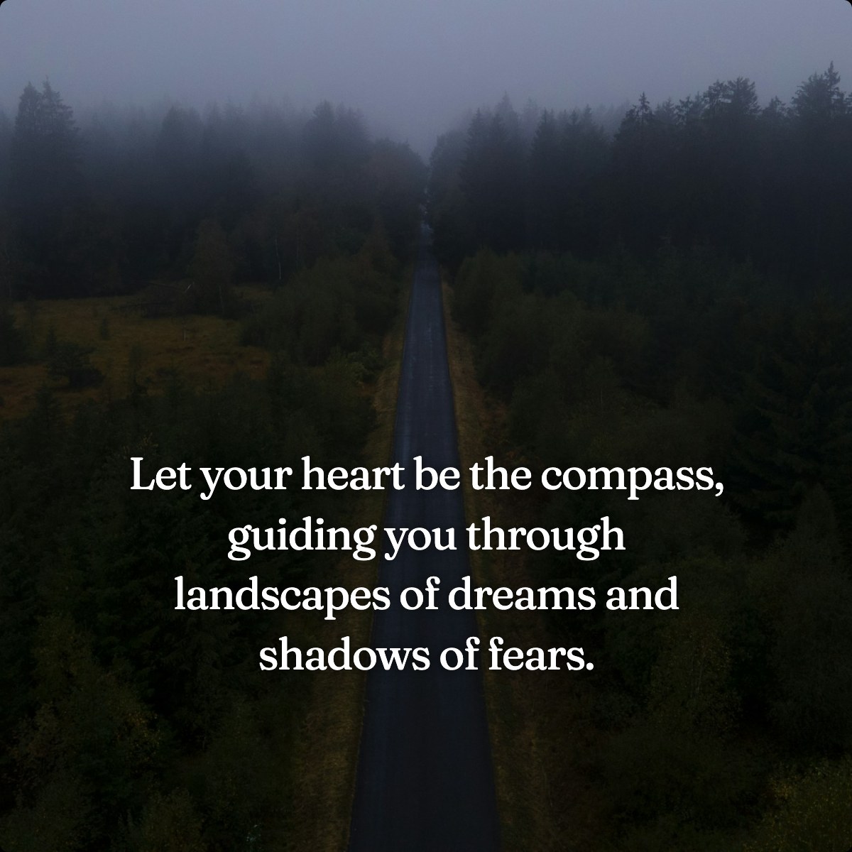 Let your heart be the compass, guiding you through landscapes of dreams and shadows of fears.