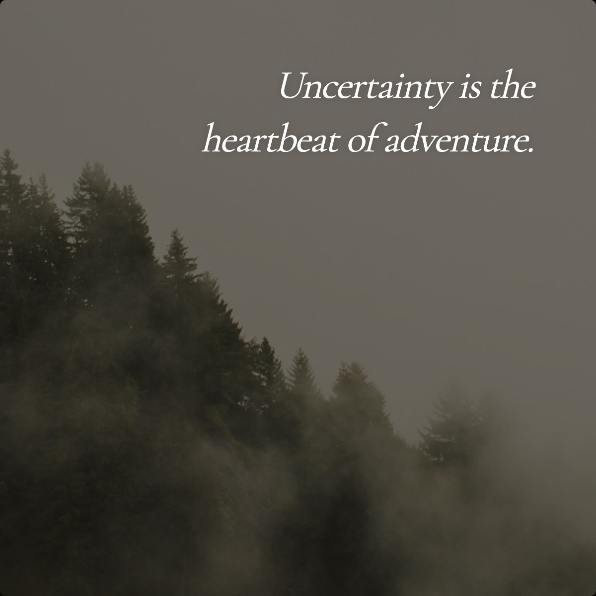 Uncertainty is the heartbeat of adventure.