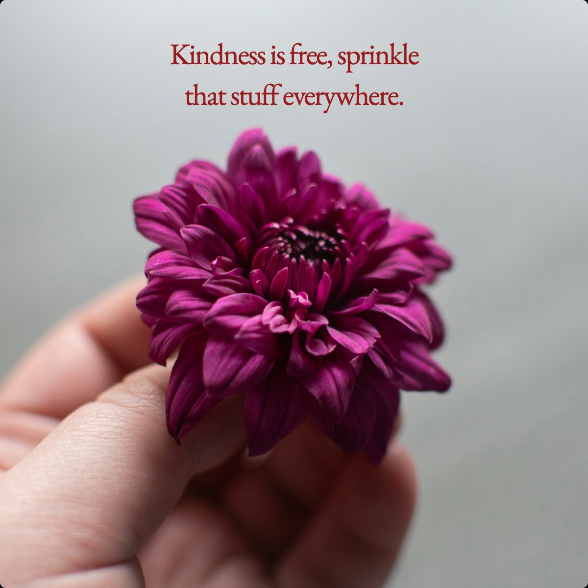 Kindness is free, sprinkle that stuff everywhere.