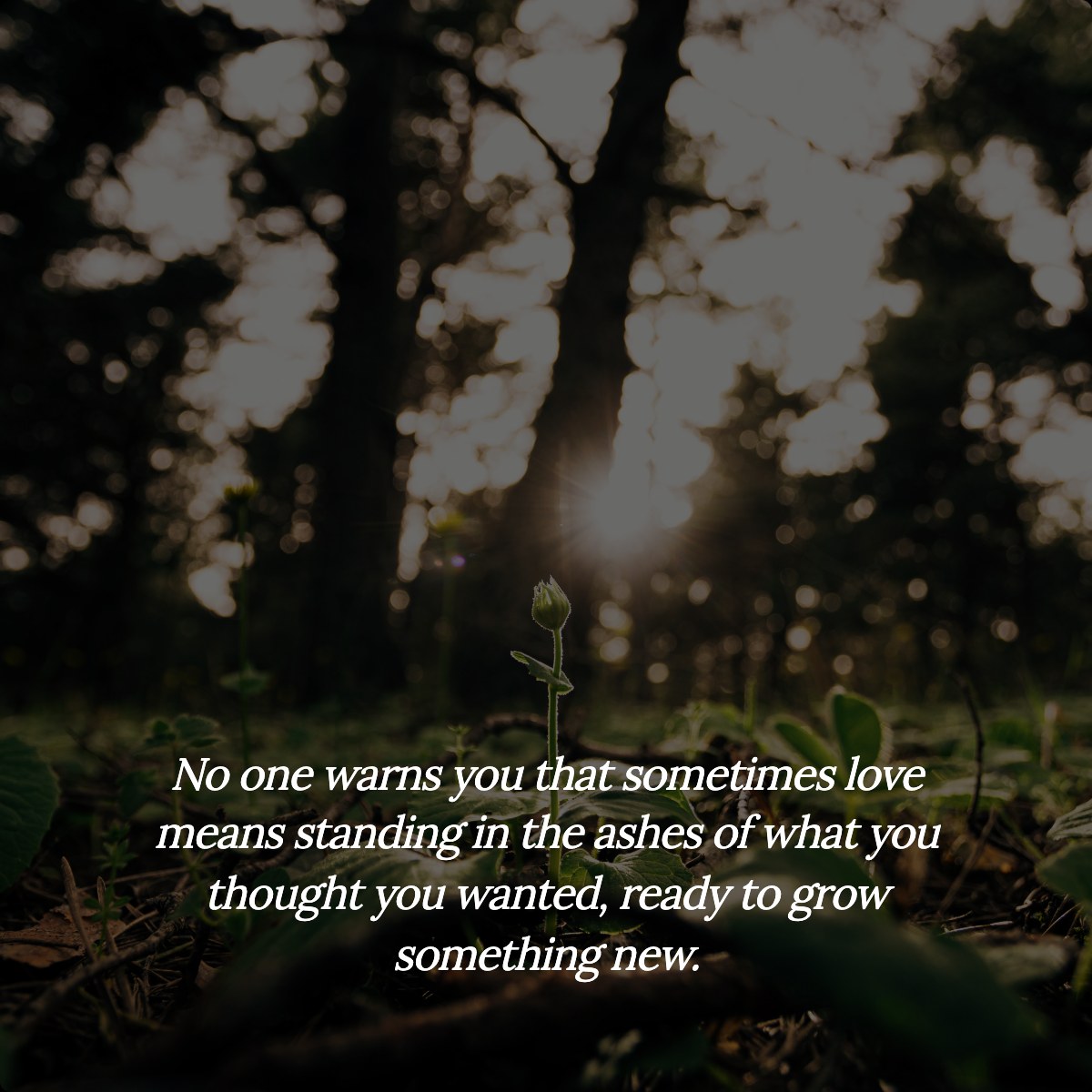 No one warns you that sometimes love means standing in the ashes of what you thought you wanted, ready to grow something…