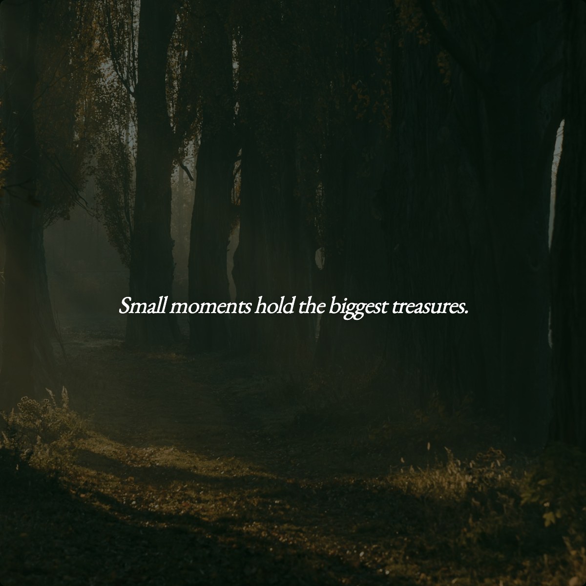 Small moments hold the biggest treasures.
